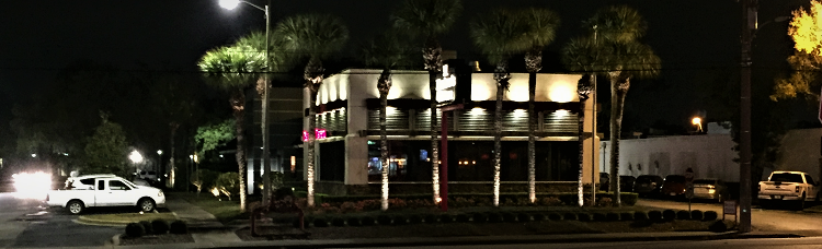 Landscape lighting system lighting up palm trees, bushes, and other plants around storefront of business adjacent to street and surrounded by parking lot.