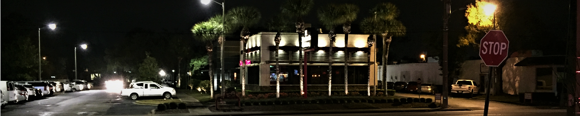 Landscape lighting system lighting up palm trees, bushes, and other plants around storefront of business adjacent to street and surrounded by parking lot.