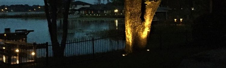 Backyard lakeside dock lit up with step lights along it's path and deck. Uphill a large oak tree's trunk is lit up by in-ground well lights placed around it.