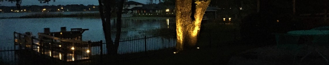 Backyard lakeside dock lit up with step lights along it's path and deck. Uphill a large oak tree's trunk is lit up by in-ground well lights placed around it.