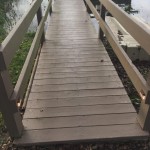 Deck lights installed on dock, tested and working.